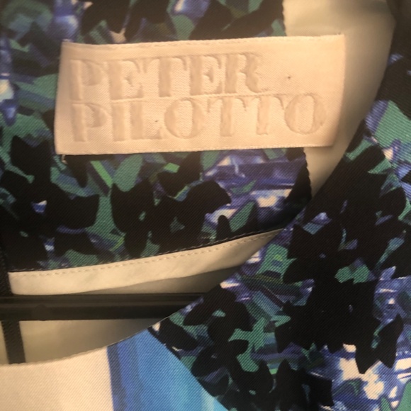 NWOT Silk Peter Pilotto Designer xSmall Dress - Picture 3 of 6